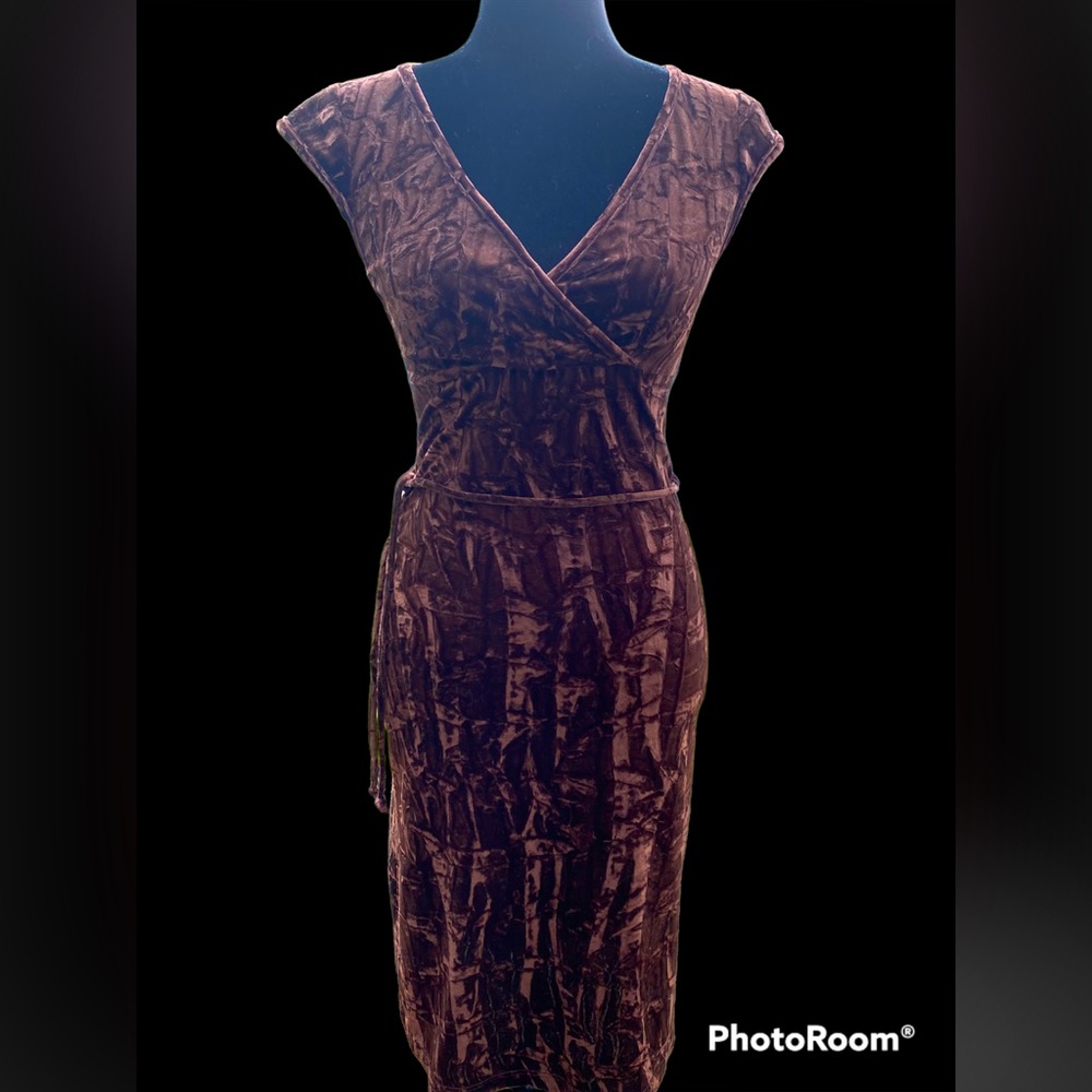 La chateau Velvet Style Dress! Size Small